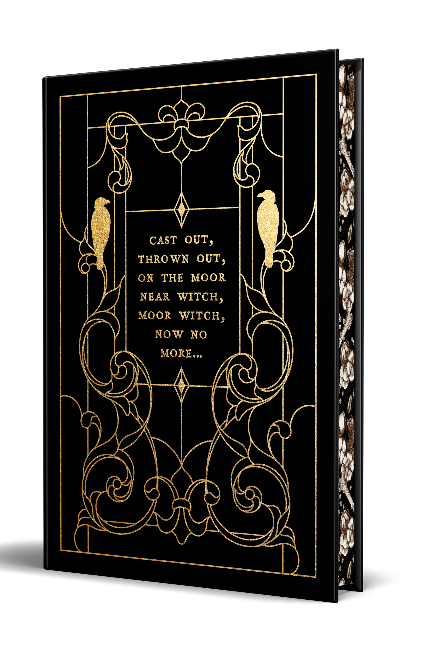 The Near Witch - Illustrated Edition