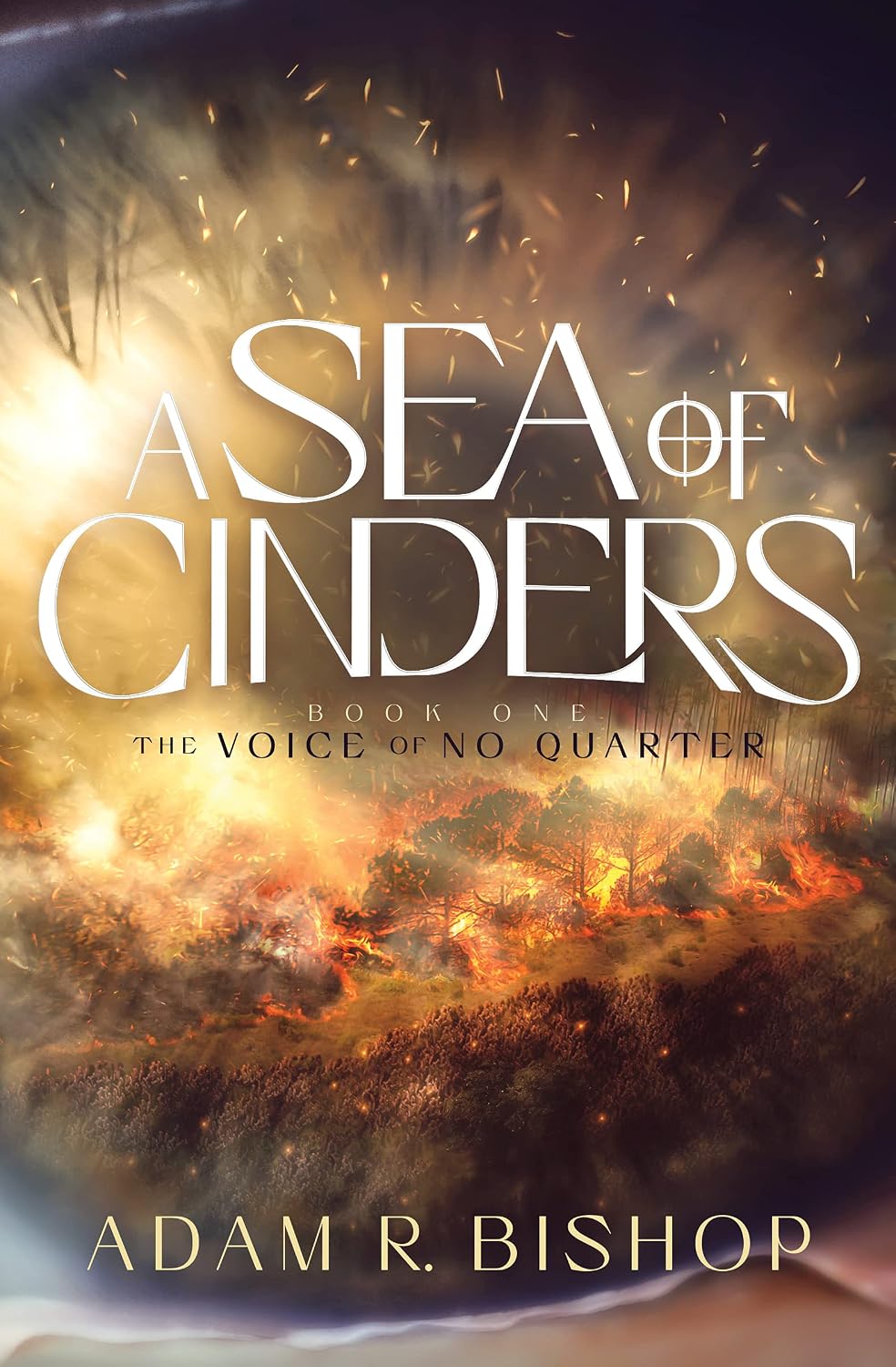 A Sea of Cinders - Numbered