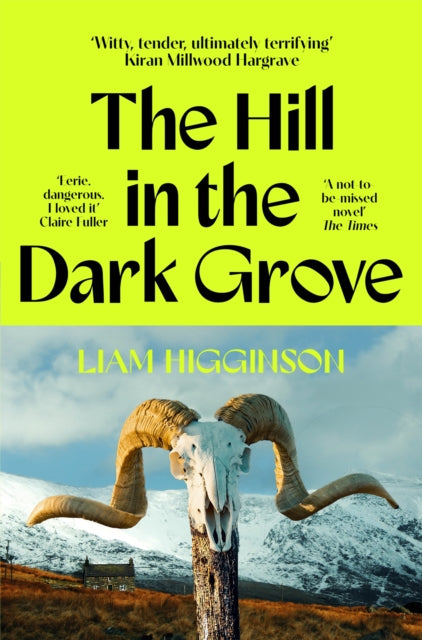 Hill in the Dark Grove