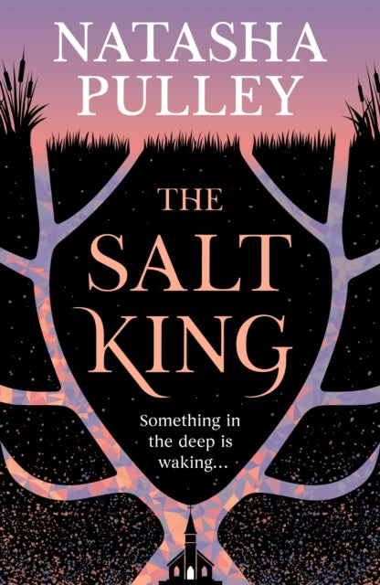Salt King