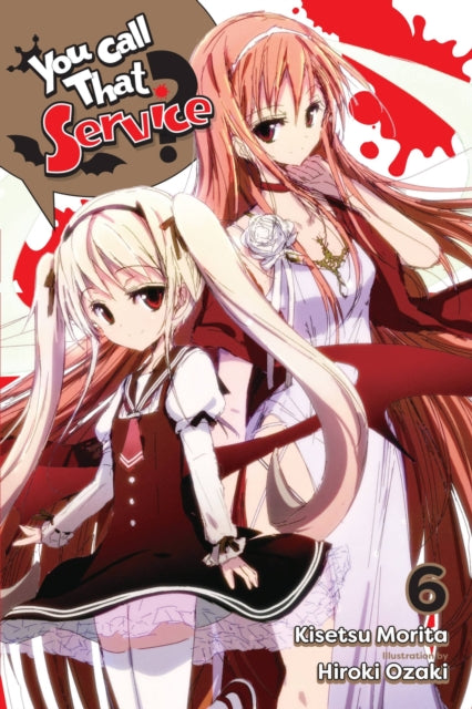 You Call That Service? Light Novel 6