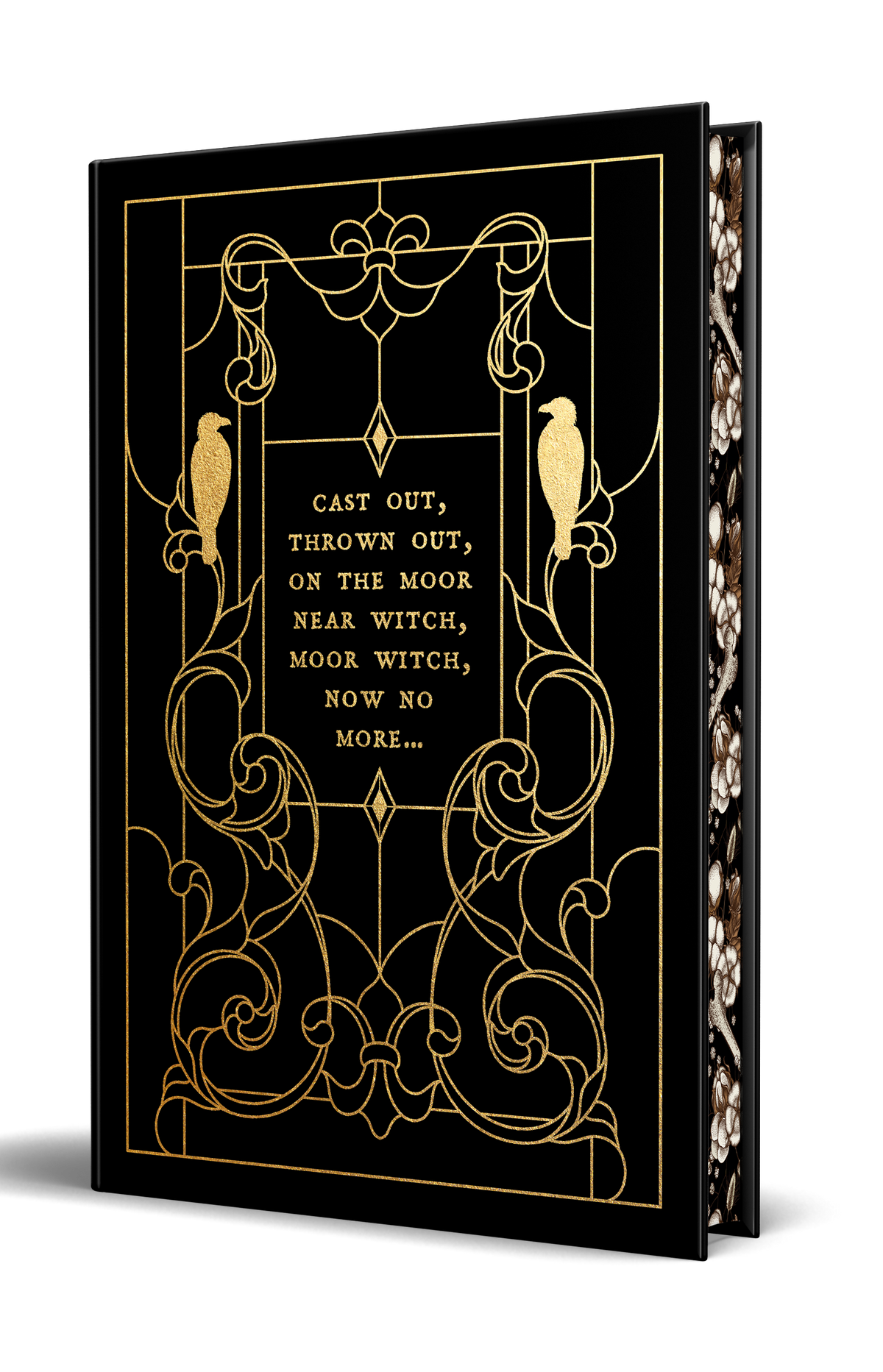 The Near Witch - Illustrated Edition